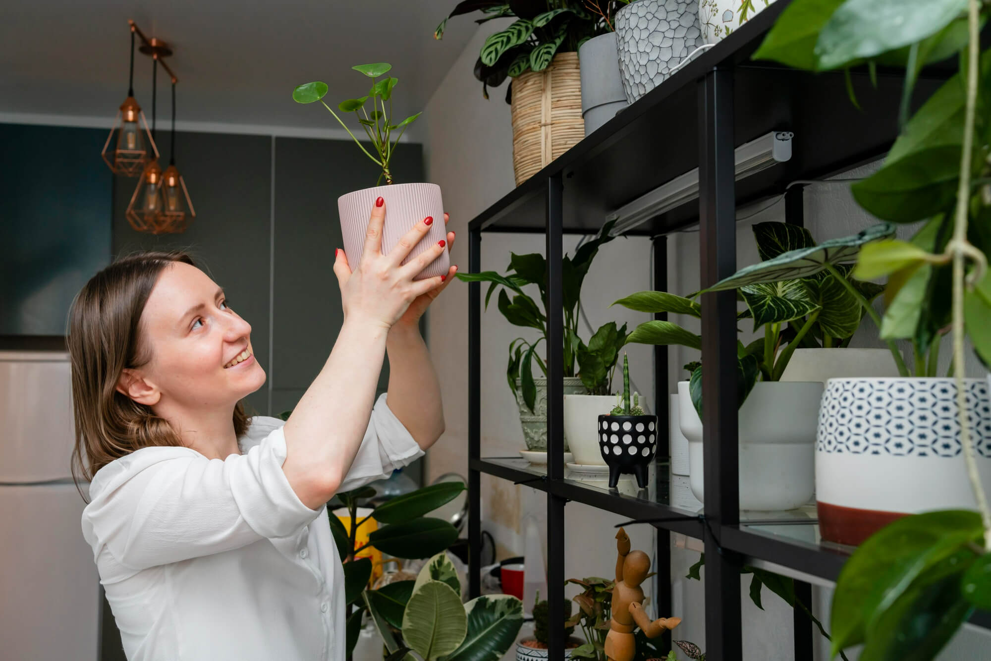 Indoor Plants That Improve Air Quality: Low Maintenance Options